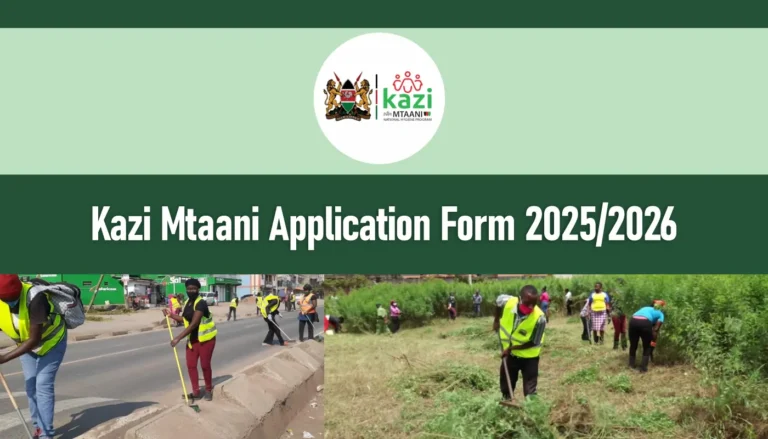 Kazi Mtaani Application 2026/2027 CRSP Registration Form Portal