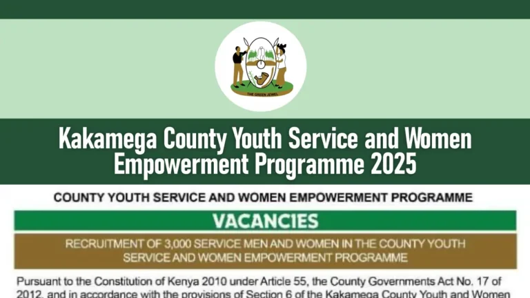 Kakamega County Youth Service and Women Empowerment Programme 2026