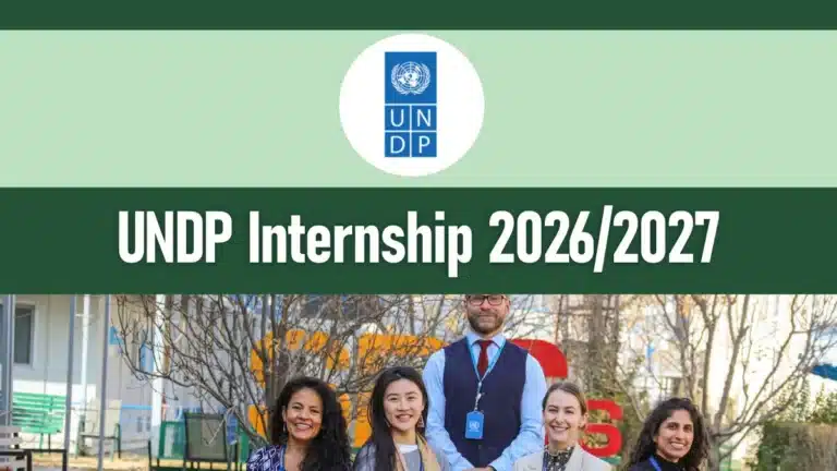 UNDP Internship 2026/2027 Application Form Portal