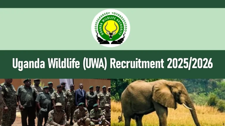 UWA Recruitment 2026/2027 Application Form PDF Portal